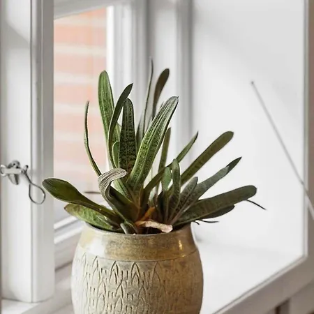 Apartamento 0494-romo-vestergade-3-ap-35 *