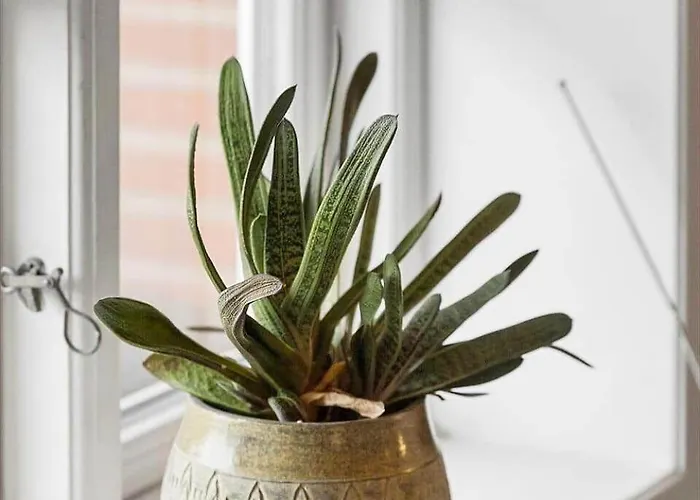 Apartmán 0494-romo-vestergade-3-ap-35